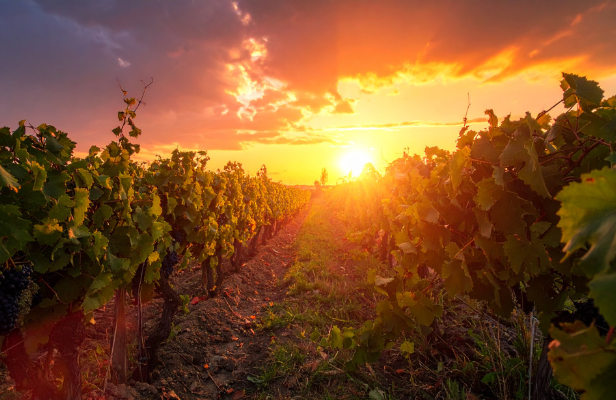 Two kids in sunglasses splash in a pool, smiling and having fun.